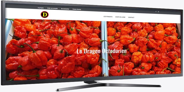 Site web - ledragonoctodurien.ch Image 1